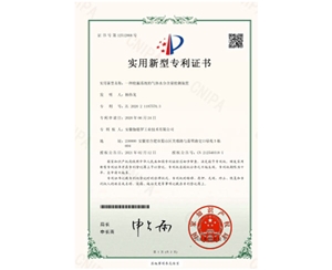 發(fā)明&實(shí)用新型專利