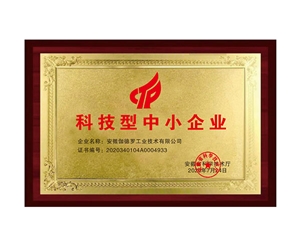 國家科技型中小企業(yè)